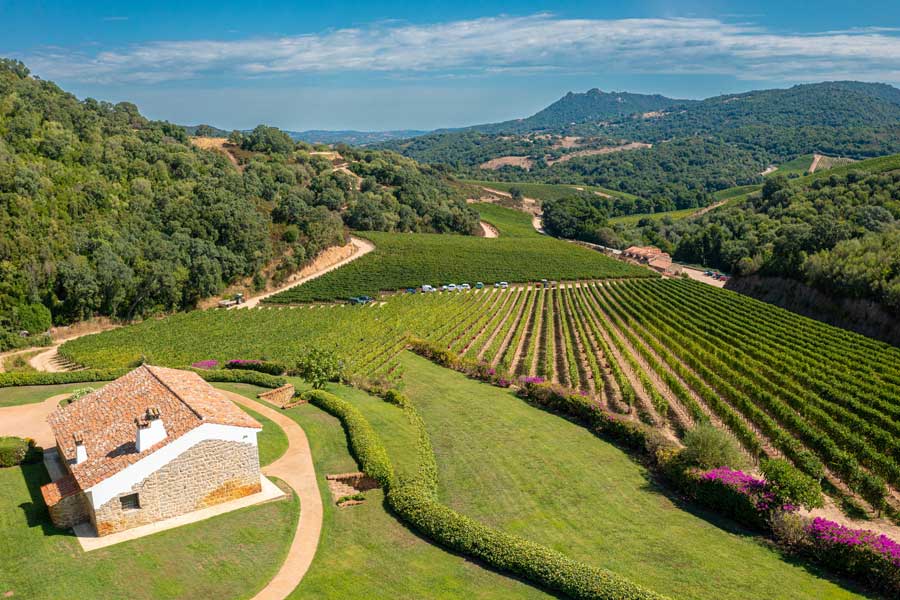 Vigneti e vitigni in Sardegna - Siddùra