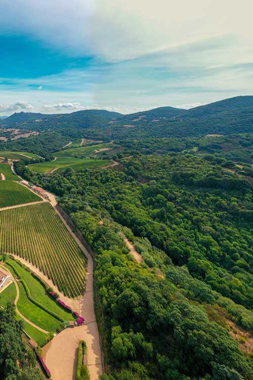 Vigneti e vitigni in Sardegna - Siddùra