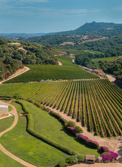 La gioia del terroir - Siddùra